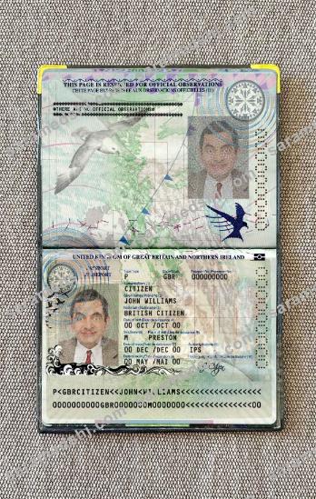 United Kingdom of Great Britain and Northern Ireland passport (2010-2015) photo look